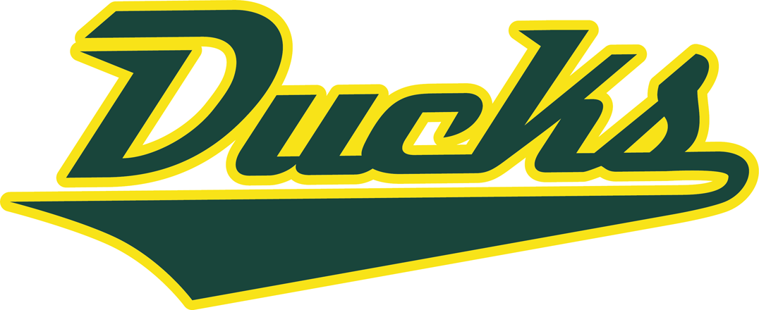 Oregon Ducks 2013-Pres Wordmark Logo DIY iron on transfer (heat transfer)